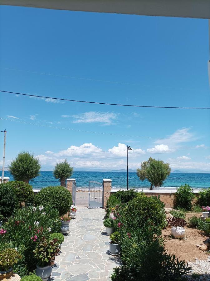 Studios Antoniou Skala  Exterior photo