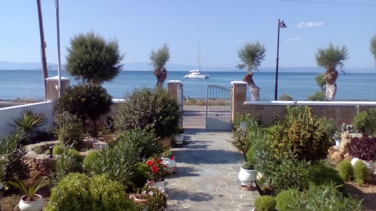 Studios Antoniou Skala  Exterior photo